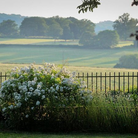 Le Manivert Bed and Breakfast Vitry-Lache Eksteriør billede