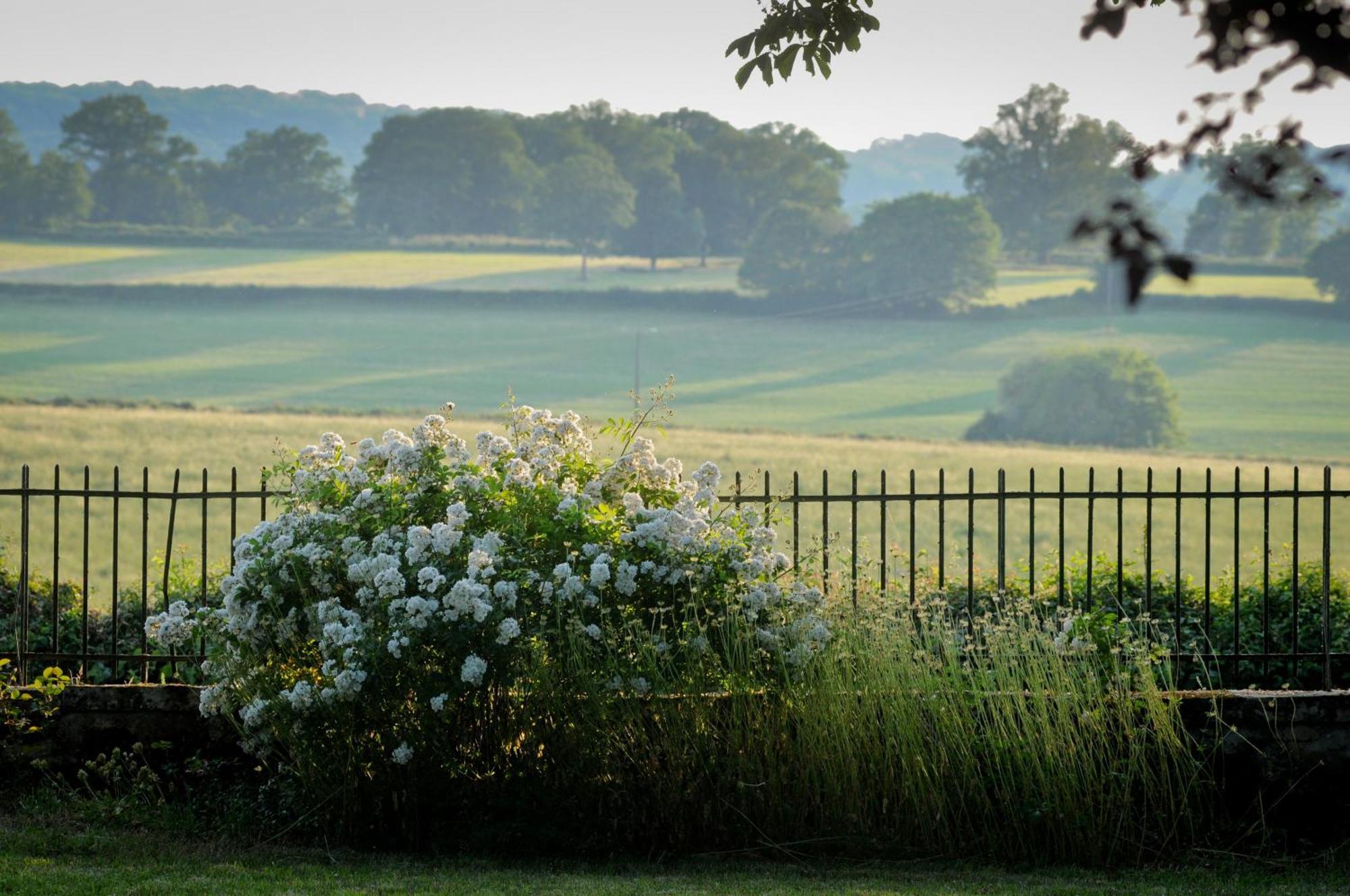 Le Manivert Bed and Breakfast Vitry-Lache Eksteriør billede